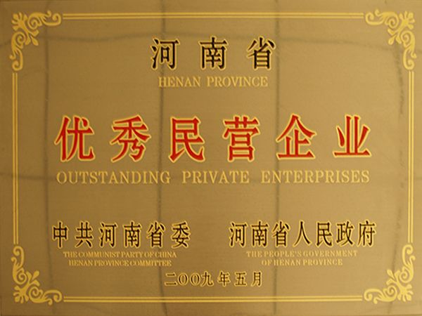 2009�����ʡ������Ӫ��ҵ